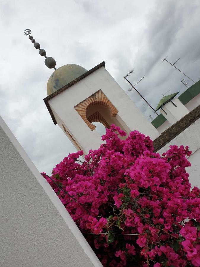 Entre 2 Mezquitas Apartamento 8 Córdova Exterior foto