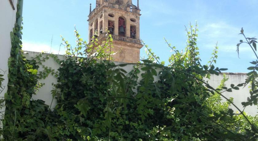 Entre 2 Mezquitas Apartamento 8 Córdova Exterior foto